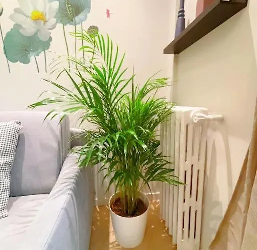 Apartamento Close To Eiffel Tower *